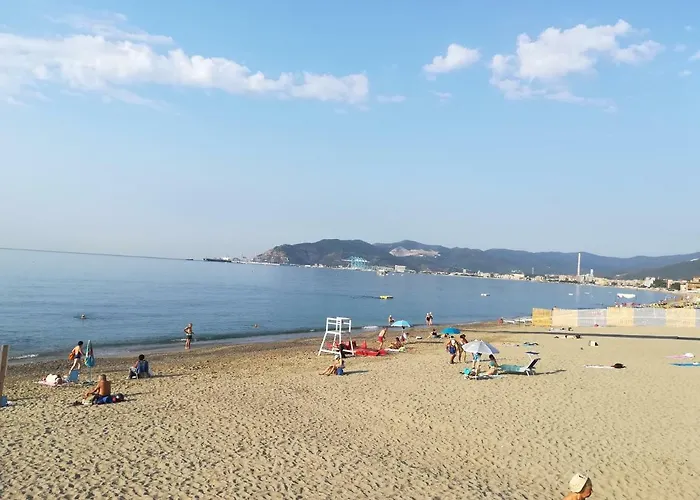 Violamare